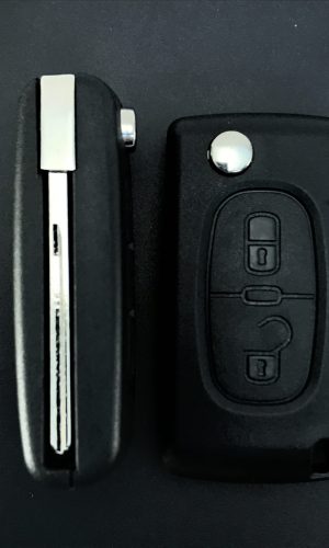 Корпус с жалом Peugeot HU-83 2 Кнопки(Батарейка на плате)+лого