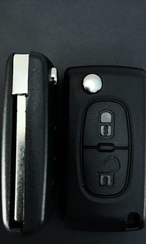 Корпус с жалом Peugeot 2 кнопки VA-2(Батарейка на плате)+лого