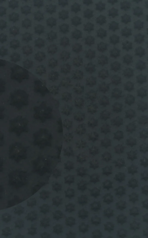 Резина набоечная ЗВЕЗДА, БАШМАЧНИК, цв. чёрный (Полоска) 12x50x7mm