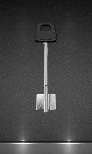 Бородковый 2 флага Чиза CIZ10PG