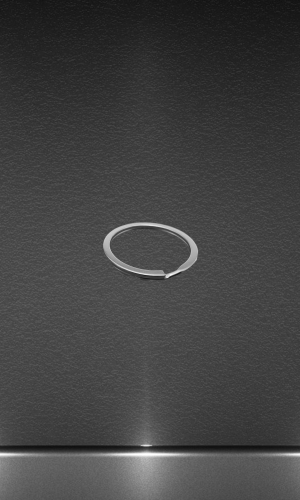 Кольцо плоское никель диаметр 30