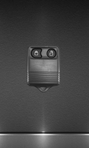 Корпус 2 кнопки Ford