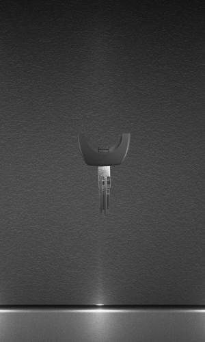 Жало от корпуса Nissan ns-11