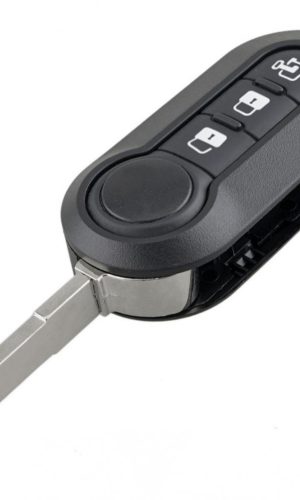 Ключ Fiat (3 кнопки)