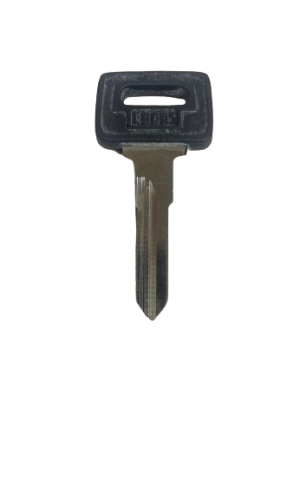 Заготовка ключа CANAS NE62P