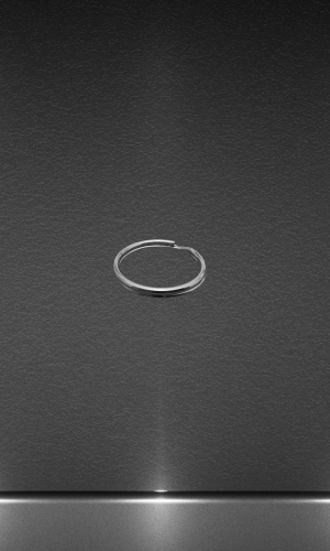 Кольцо для ключей d=20 mm