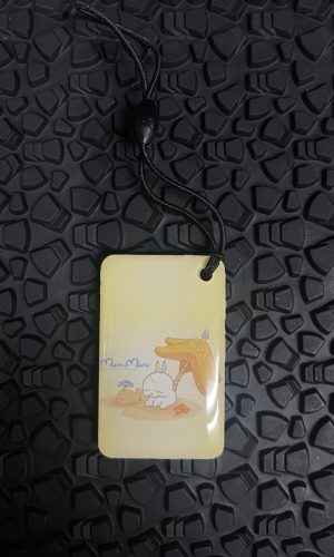 Заготовка ключа для домофона (Чип) универсальный (Elrctra / Vizit)